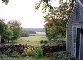 Tupelo Studio in Westport MA